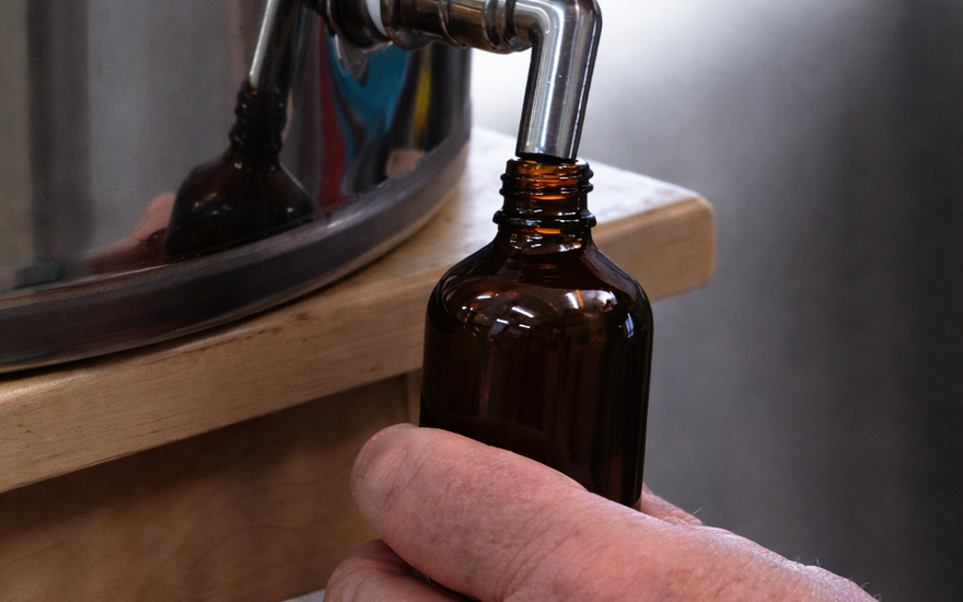 Black Seed Oil Benefits: What 35 Years Has Taught Us
